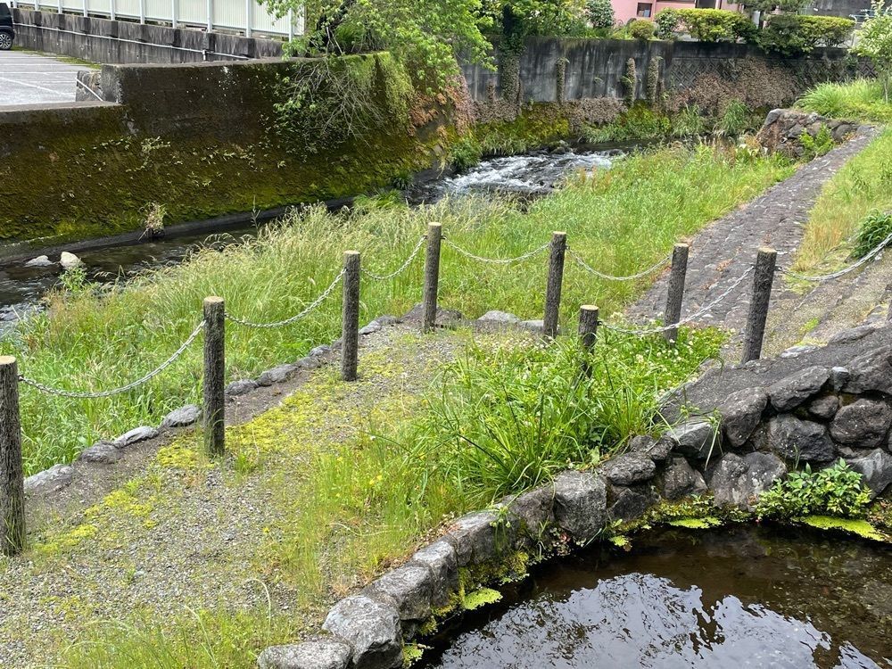 yoko☆さんが投稿した鎧ヶ淵親水公園に関する口コミの画像