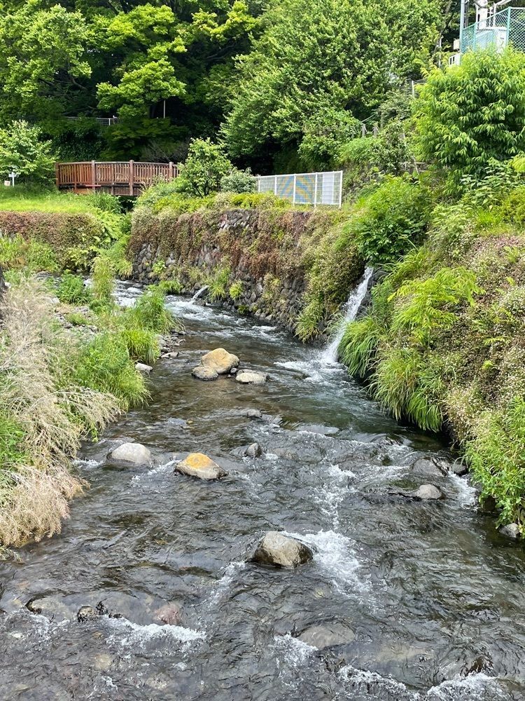 yoko☆さんが投稿した鎧ヶ淵親水公園に関する口コミの画像