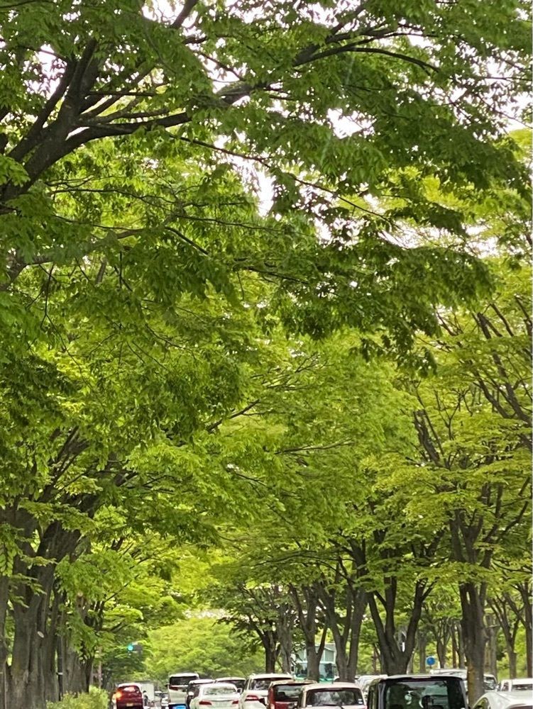 かめ_メグミさんが投稿したまんみ 泉中央店に関する口コミの画像