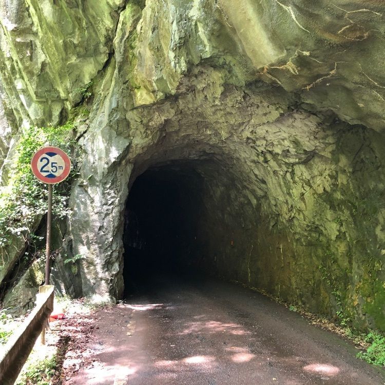 Akiraさんが投稿した羽山渓に関する口コミの画像