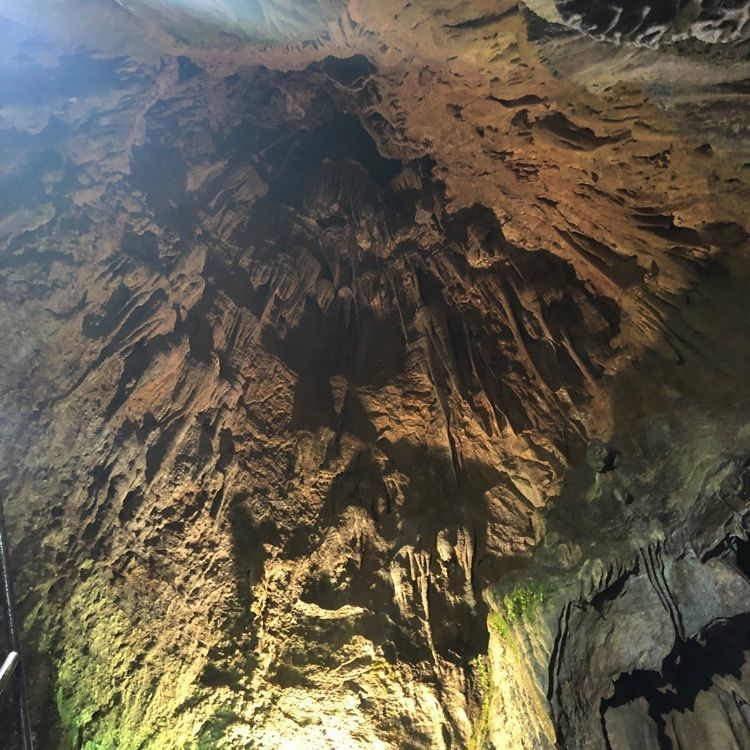 Akiraさんが投稿した井倉洞に関する口コミの画像
