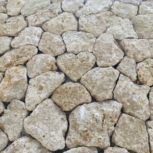 pizzeria da ENZO（ピッツェリア ダ エンゾ） 6枚目