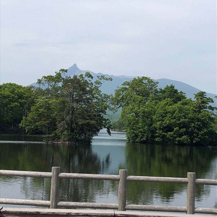 kazu&kinakoさんが投稿した大沼公園散策路に関する口コミの画像