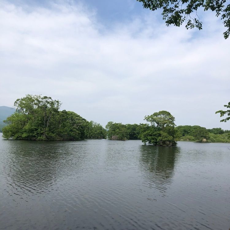 kazu&kinakoさんが投稿した大沼公園散策路に関する口コミの画像