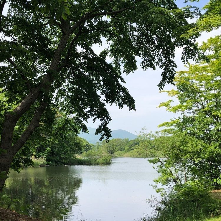kazu&kinakoさんが投稿した大沼公園散策路に関する口コミの画像