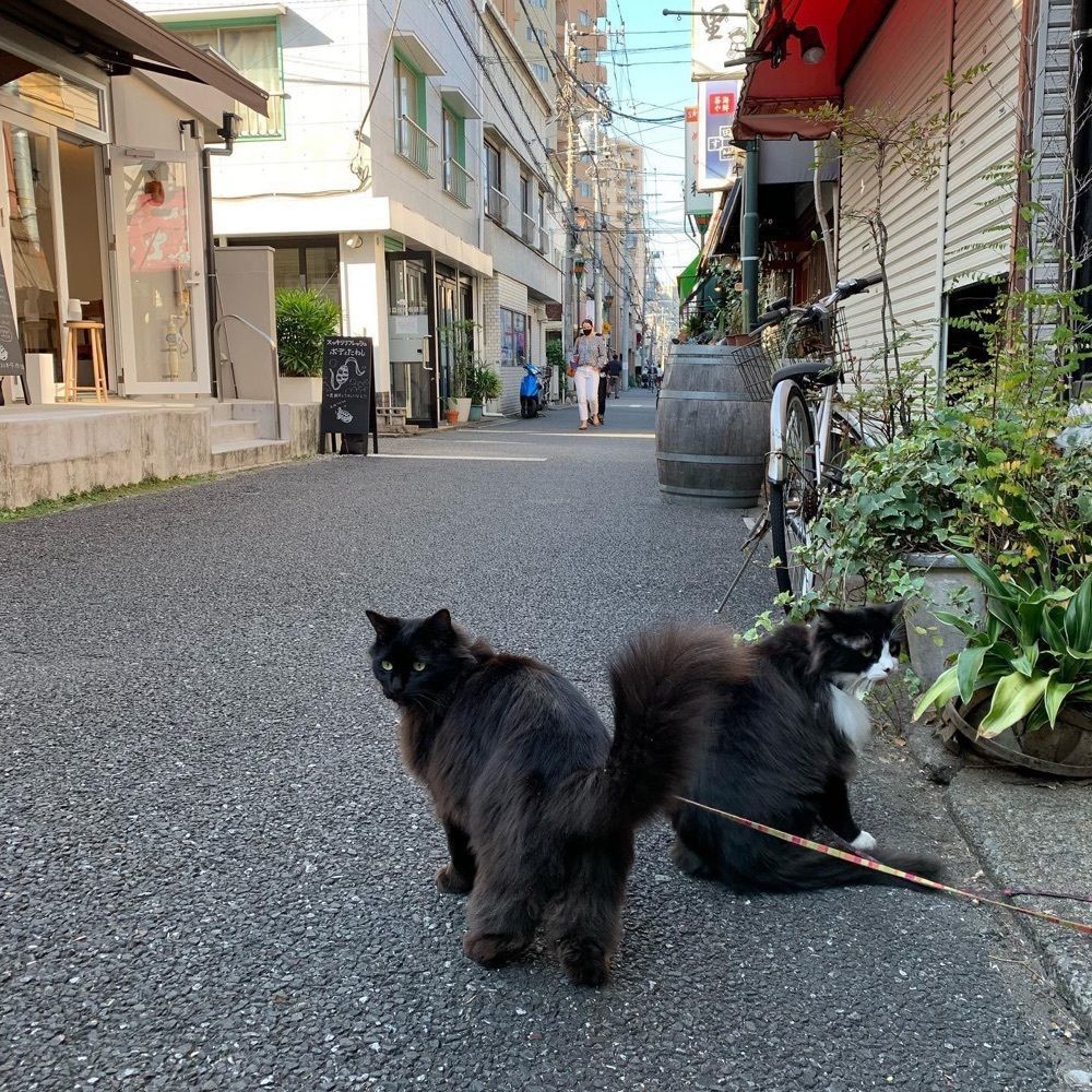 おでかけ探検部さんが投稿した根津のパンに関する口コミの画像
