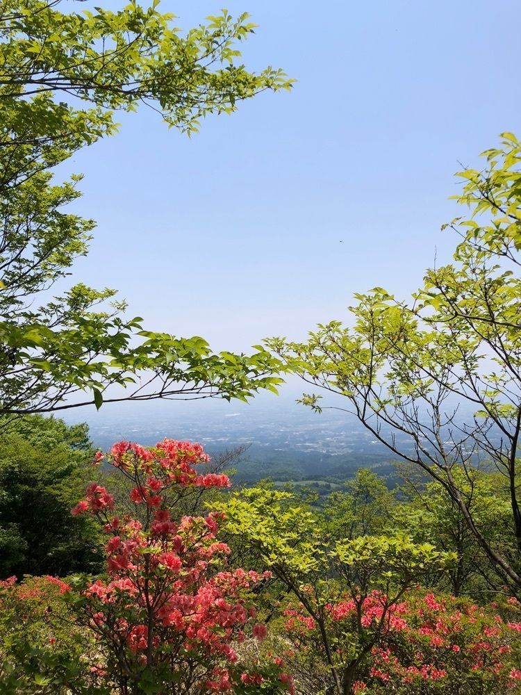kumachan31さんが投稿した赤城山のツツジに関する口コミの画像