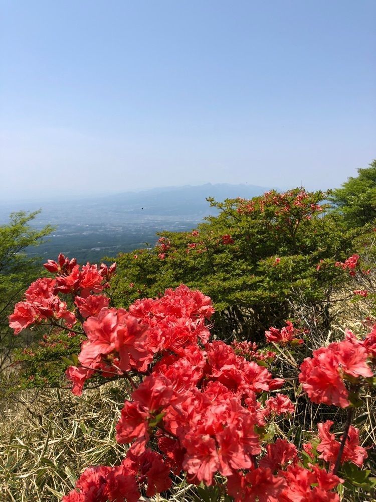 kumachan31さんが投稿した赤城山のツツジに関する口コミの画像