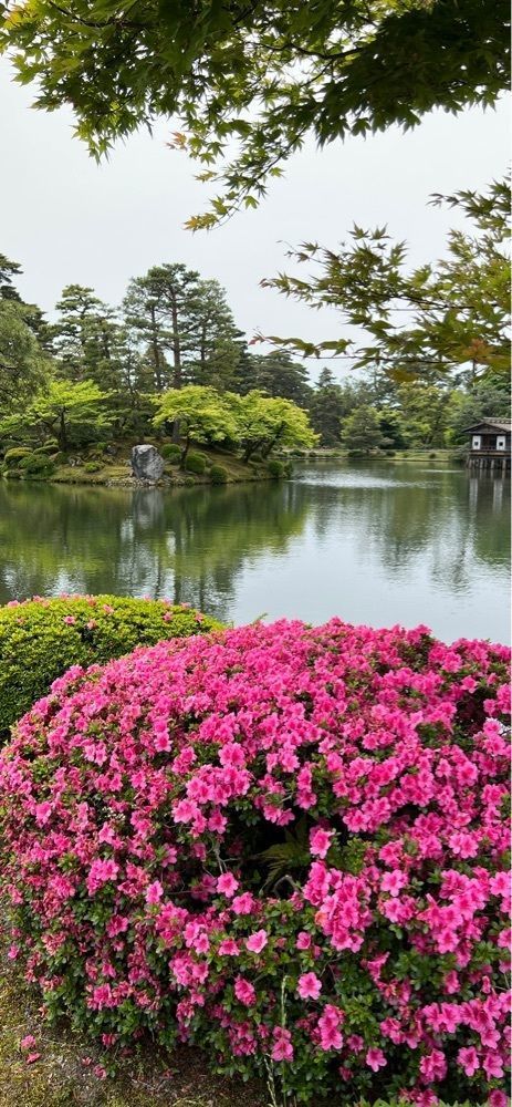 海老桃和久津さんが投稿した唐崎松（兼六園）に関する口コミの画像