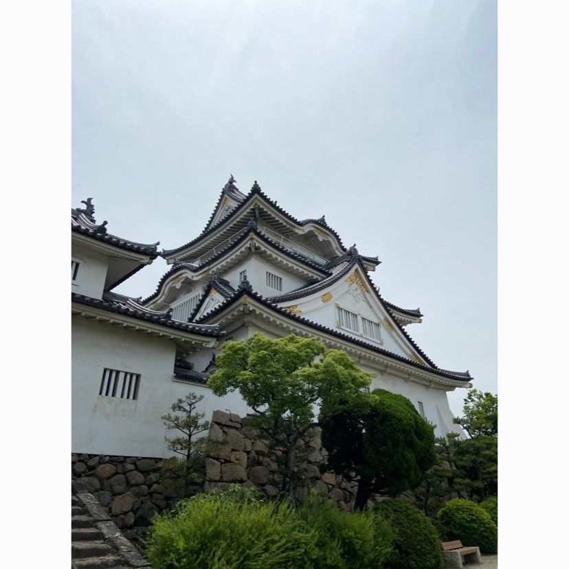 やすさんが投稿した岸和田城に関する口コミの画像