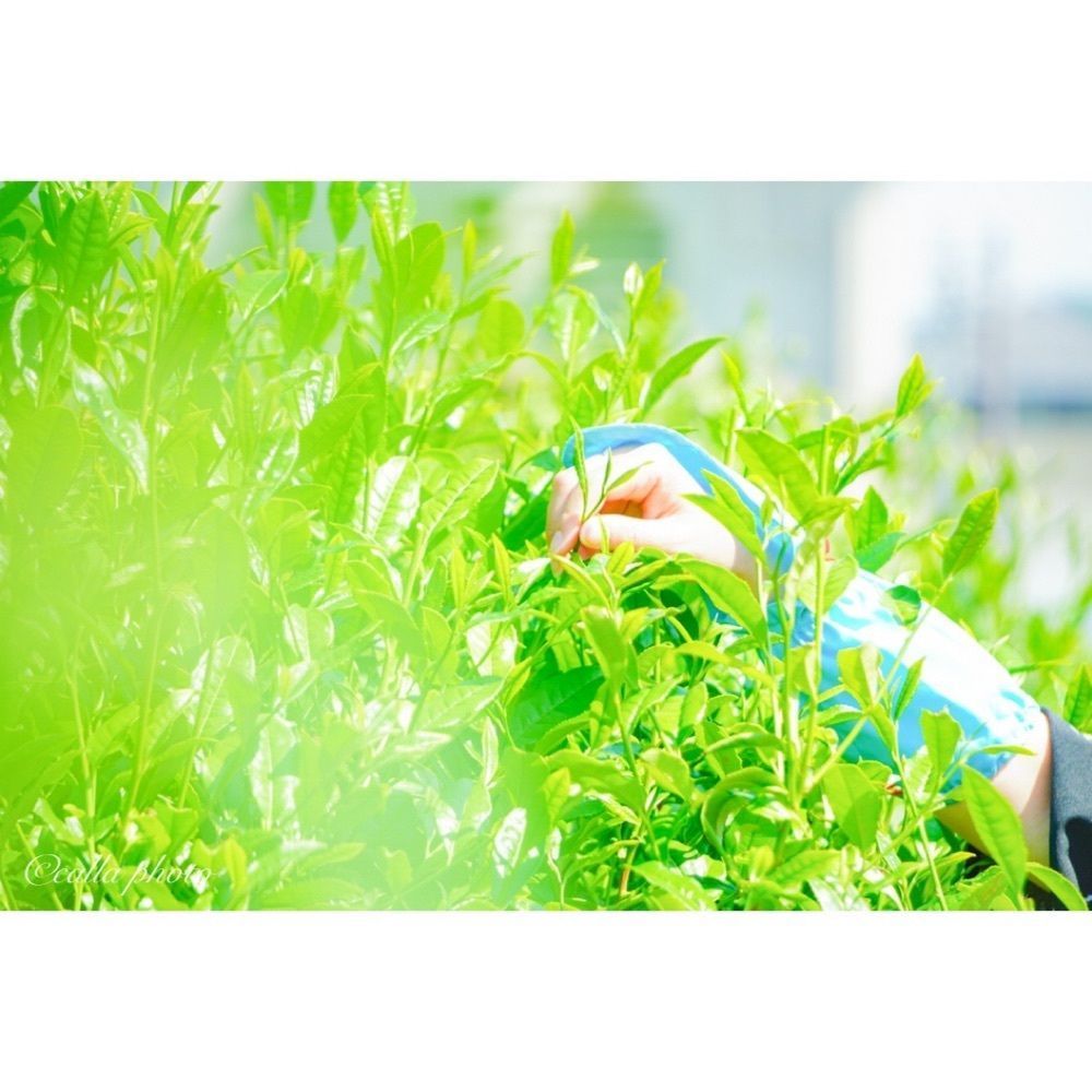 urban_garden_243aさんが投稿した茶づな（CHAZUNA）に関する口コミの画像