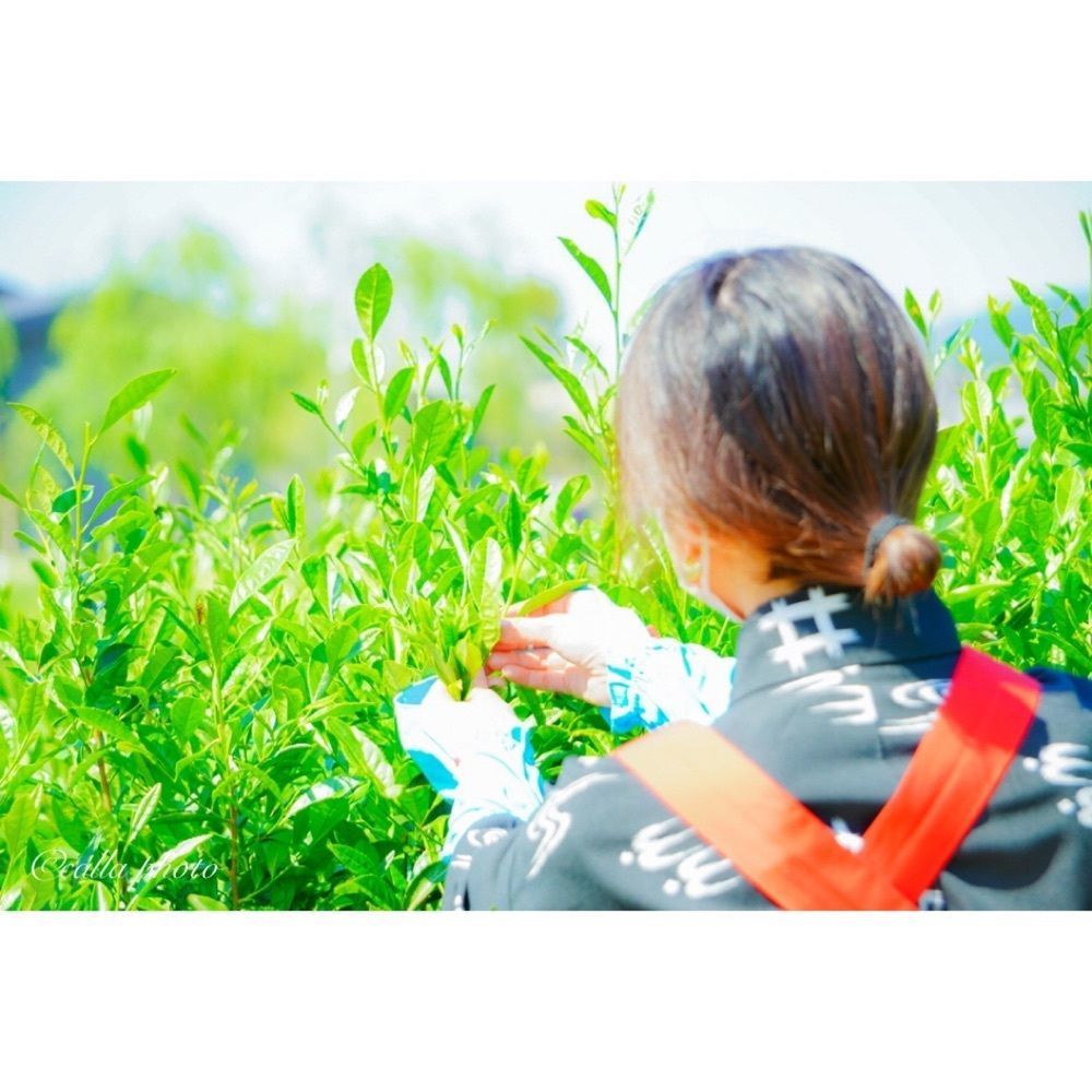 urban_garden_243aさんが投稿した茶づな（CHAZUNA）に関する口コミの画像