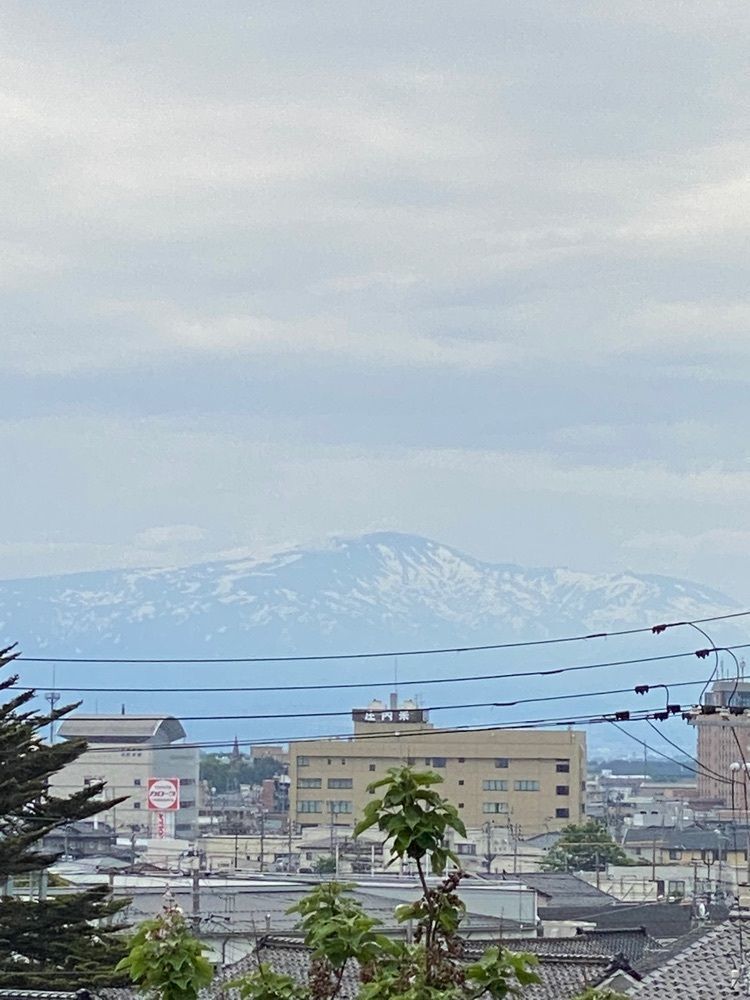 かめ_メグミさんが投稿した海向寺に関する口コミの画像