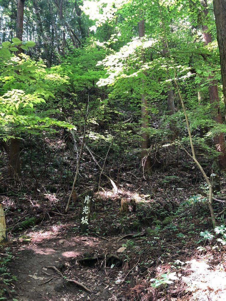 としとしさんが投稿した秩父札所三十二番法性寺（般若お舟観音）に関する口コミの画像