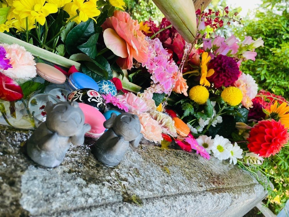ぼんじり🐨さんが投稿した東福寺に関する口コミの画像