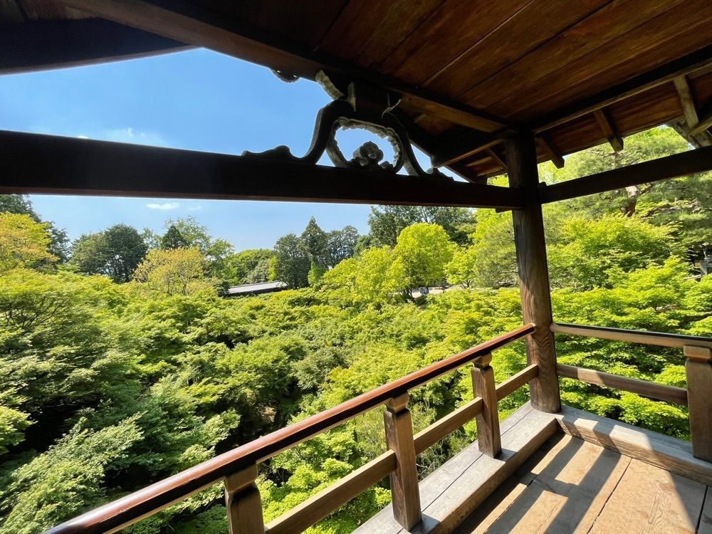 ぼんじり🐨さんが投稿した東福寺に関する口コミの画像