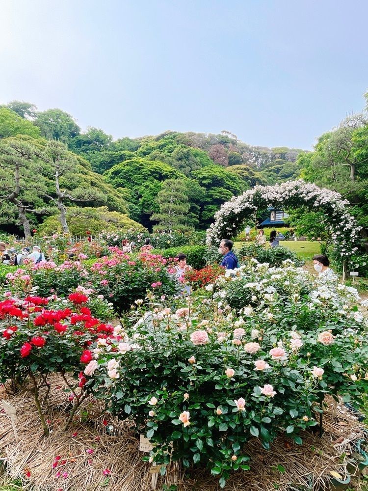 active34さんが投稿した鎌倉文学館に関する口コミの画像
