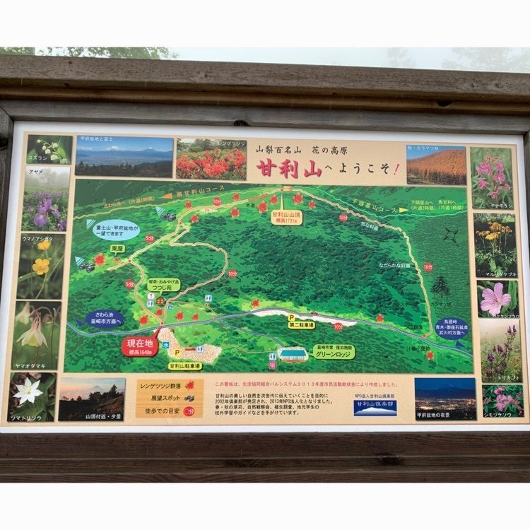 Howl Monさんが投稿した甘利山に関する口コミの画像