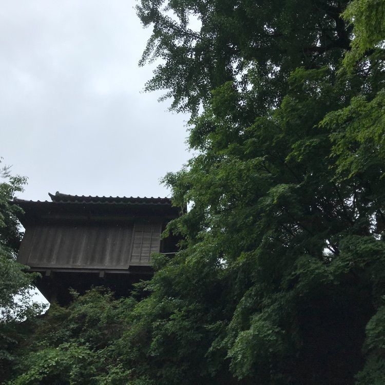 maaasanさんが投稿した浄因寺に関する口コミの画像