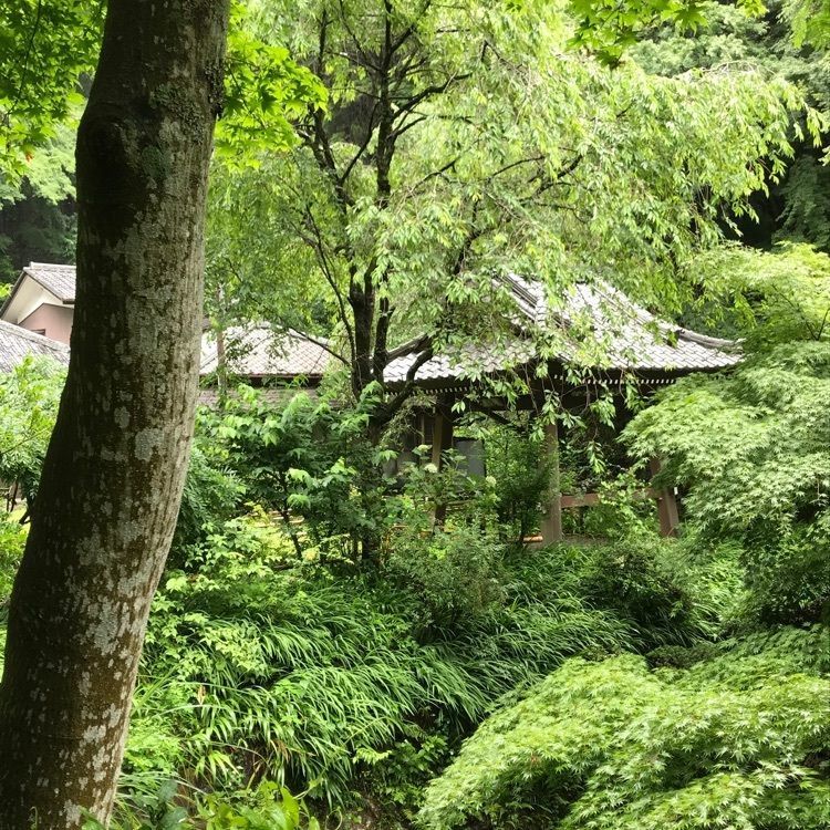 maaasanさんが投稿した浄因寺に関する口コミの画像