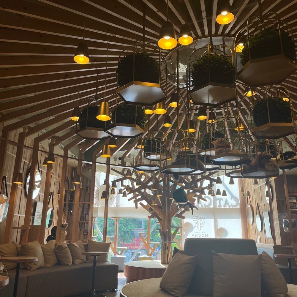yoko_tokyoiventlifeさんが投稿した猫カフェMOCHA 秋葉原店（CAT CAFE MOCHA）に関する口コミの画像