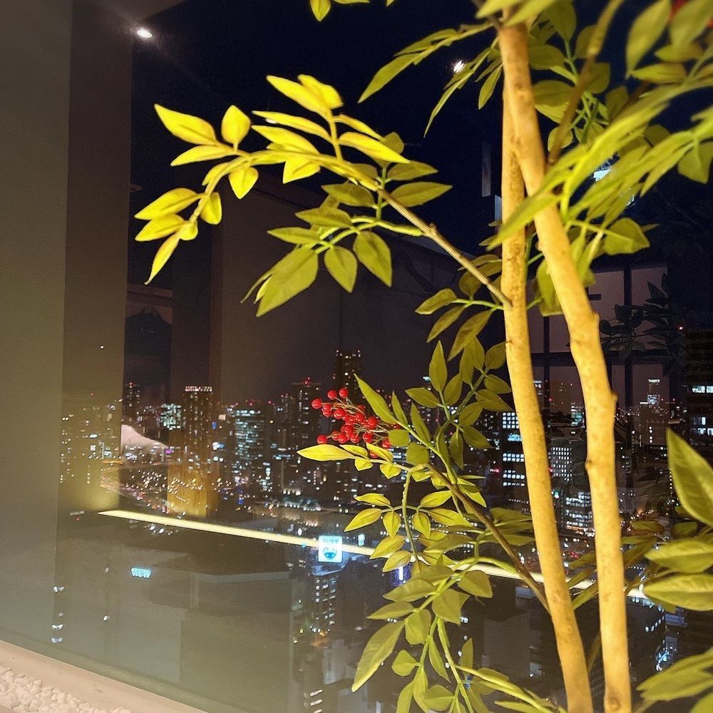 いろはさんが投稿した夜景×個室 肉割烹 牛若丸 梅田店に関する口コミの画像