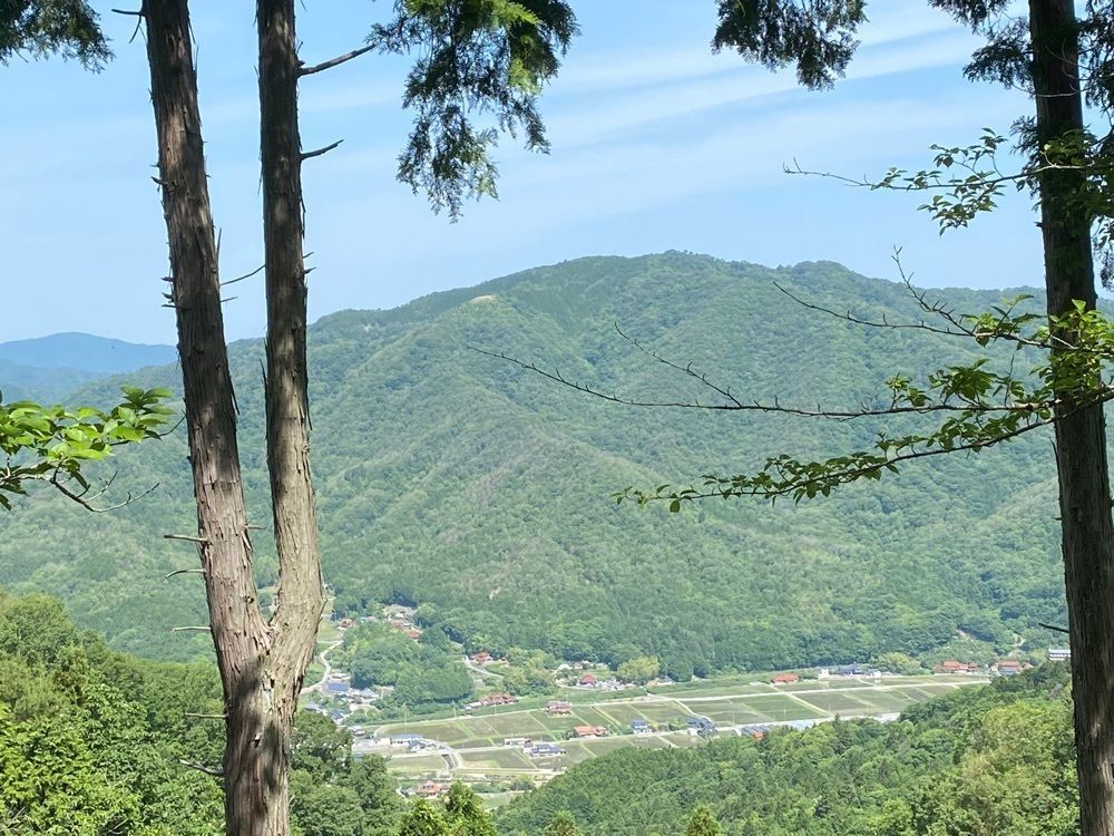 あるふぃすたさんが投稿した井原市駅に関する口コミの画像