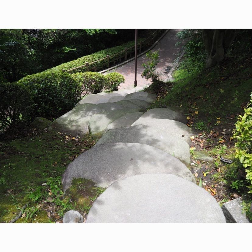 sweetさんが投稿した多賀山公園に関する口コミの画像