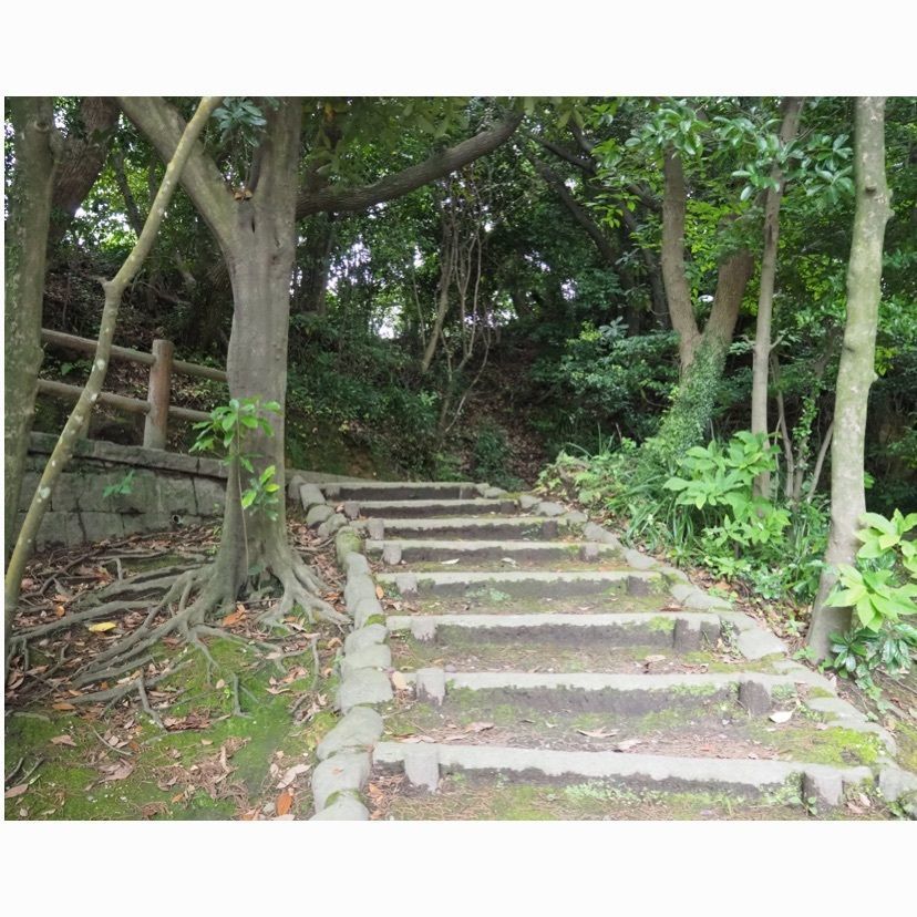 sweetさんが投稿した多賀山公園に関する口コミの画像