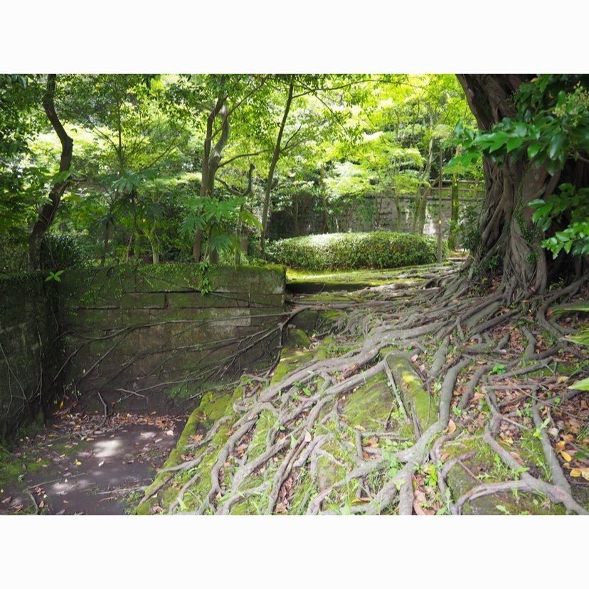 sweetさんが投稿した多賀山公園に関する口コミの画像