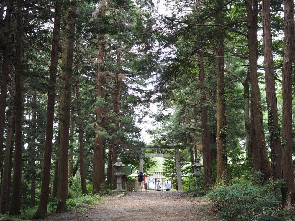 なおなおさんが投稿した賀茂神社に関する口コミの画像