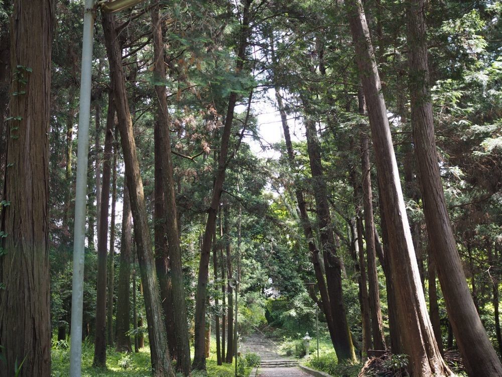 なおなおさんが投稿した賀茂神社に関する口コミの画像