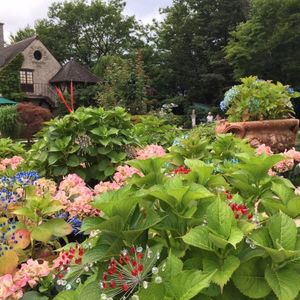 箱根ガラスの森美術館