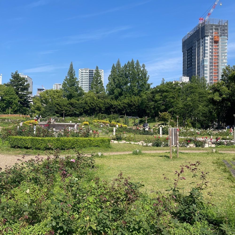 いろはさんが投稿したセブンイレブン 大阪靭公園東に関する口コミの画像