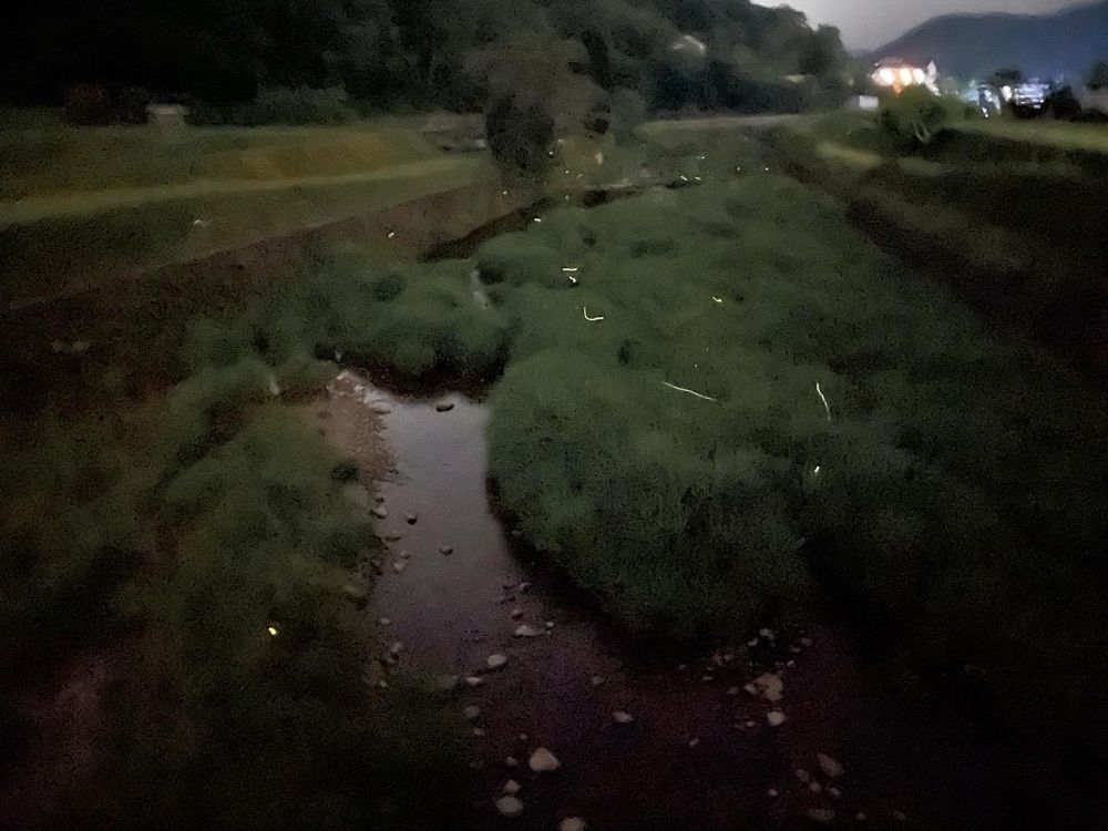 たっくんさんが投稿した道場駅に関する口コミの画像
