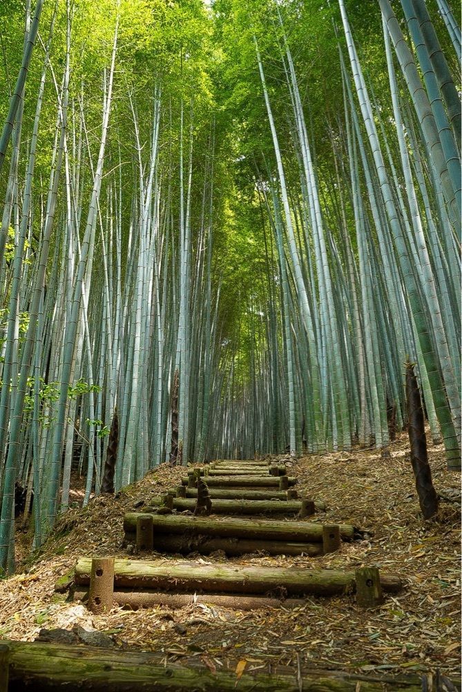 mt0130さんが投稿した清水山に関する口コミの画像