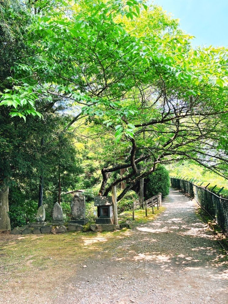 猫なぎ。さんが投稿した高館義経堂に関する口コミの画像