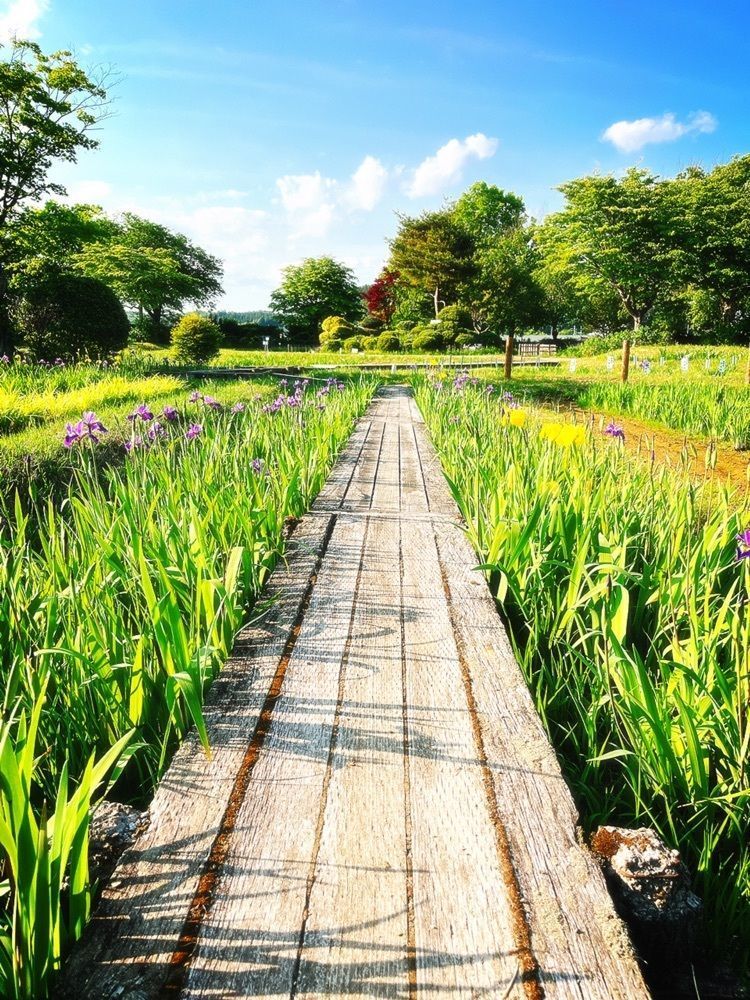 猫なぎ。さんが投稿した山王囲遺跡に関する口コミの画像