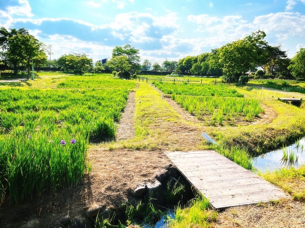 猫なぎ。さんが投稿した山王囲遺跡に関する口コミの画像