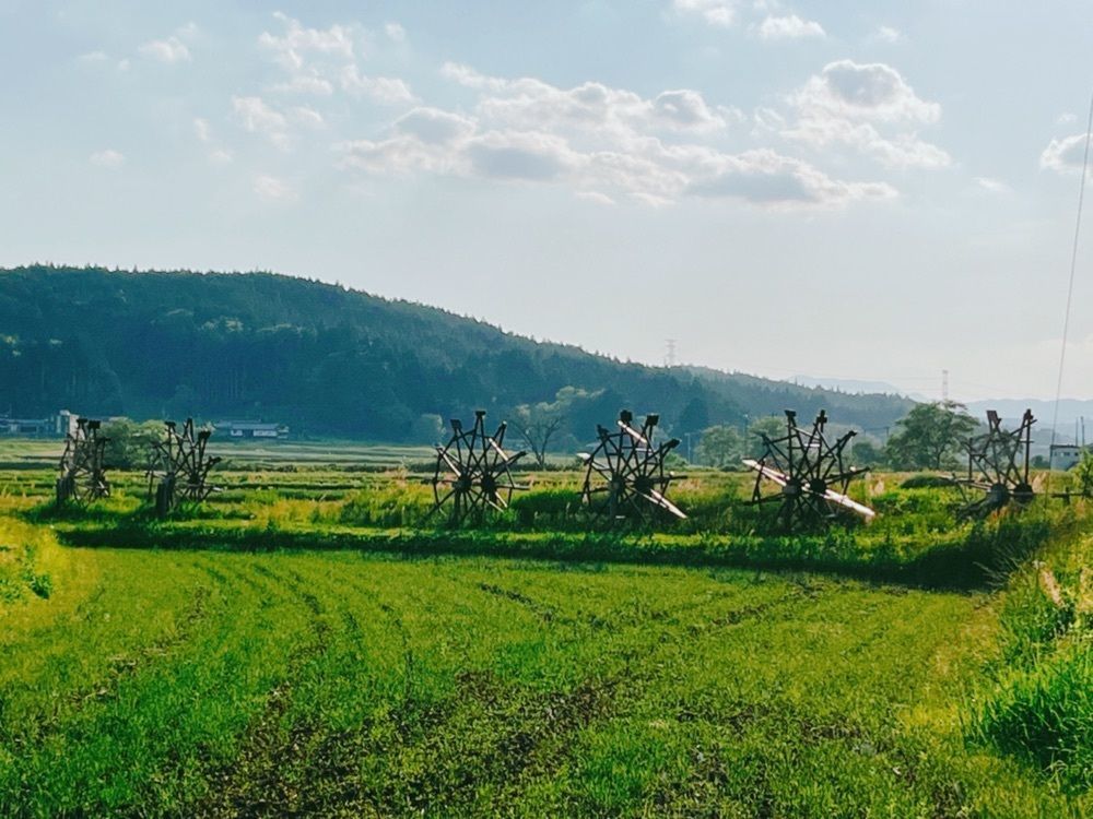 猫なぎ。さんが投稿した一迫山王史跡公園に関する口コミの画像