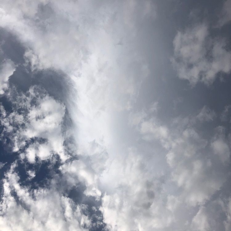 mi.さんが投稿したハイマート佐仲に関する口コミの画像