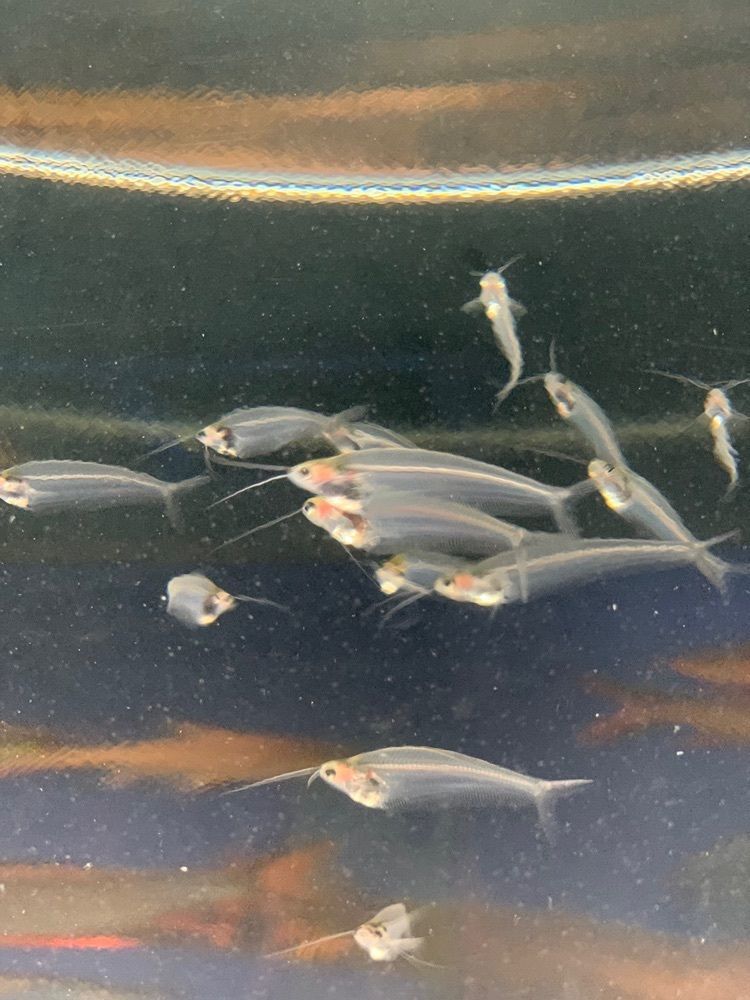 やまこさんが投稿した北の大地の水族館に関する口コミの画像