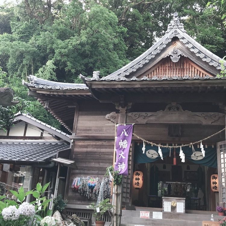 norisanさんが投稿した画像の画像