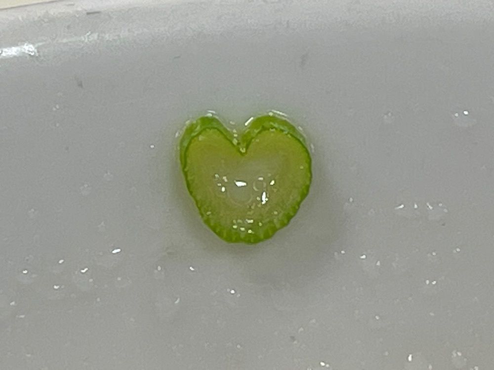 ぺたこ♡さんが投稿した餃子の王将 奈良橿原店に関する口コミの画像