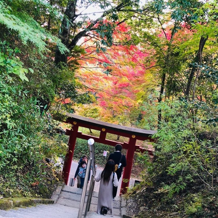 池ちゃんさんが投稿した鷲子山上神社に関する口コミの画像