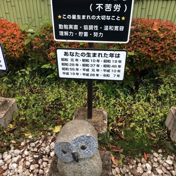 池ちゃんさんが投稿した鷲子山上神社に関する口コミの画像