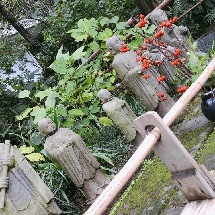 池ちゃんさんが投稿した明月院（あじさい寺）に関する口コミの画像