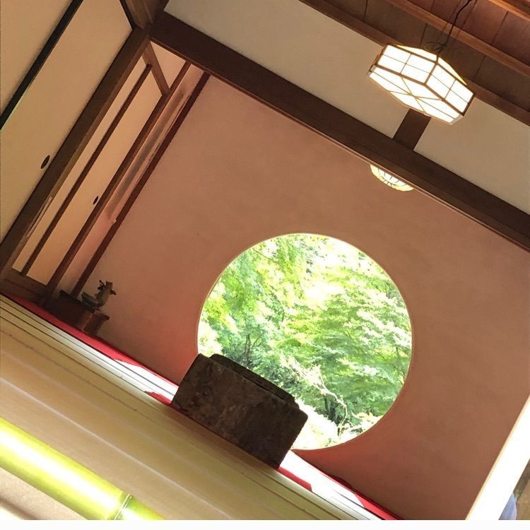 池ちゃんさんが投稿した明月院（あじさい寺）に関する口コミの画像