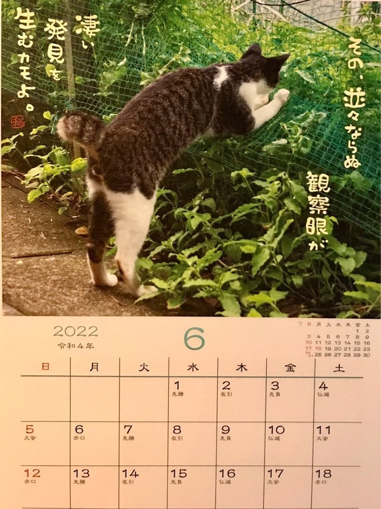 MICHIさんが投稿した梅園・浅草本店に関する口コミの画像