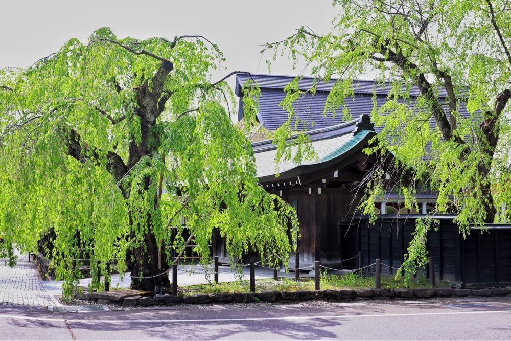 まさまさ　さまさんが投稿した仙北市立角館町平福記念美術館に関する口コミの画像